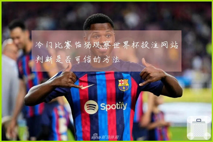 冷门比赛临场观察世界杯投注网站判断是否可信的方法