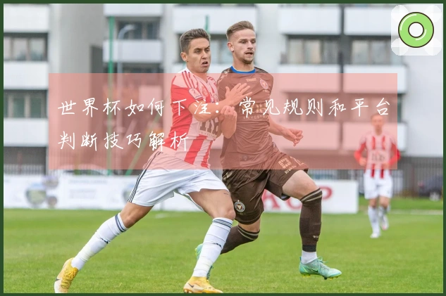世界杯如何下注：常见规则和平台判断技巧解析