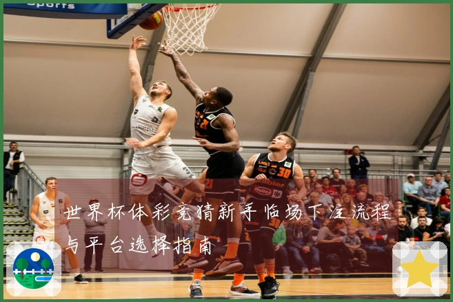 世界杯体彩竞猜新手临场下注流程与平台选择指南